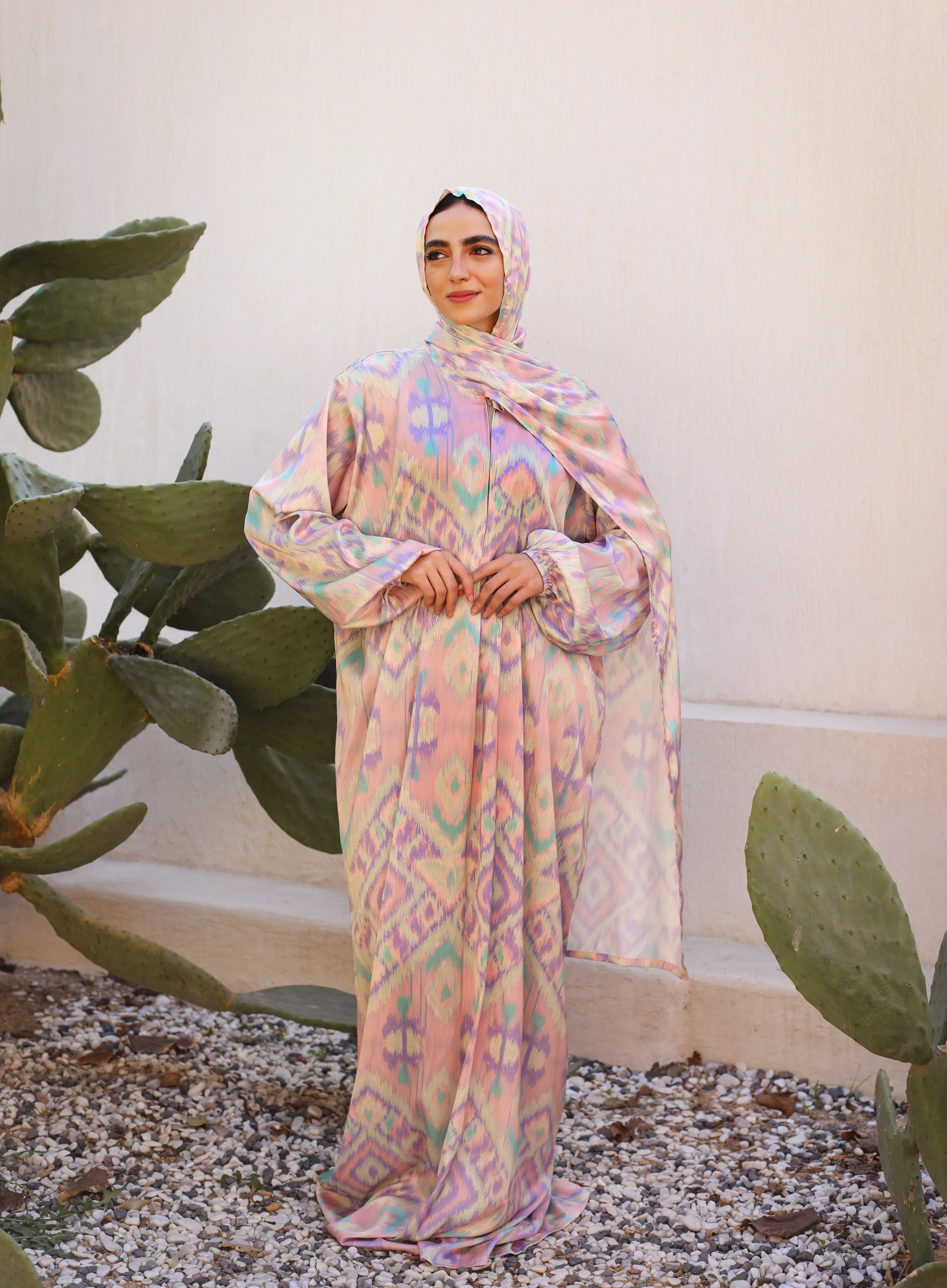 صورة مصغرة 2